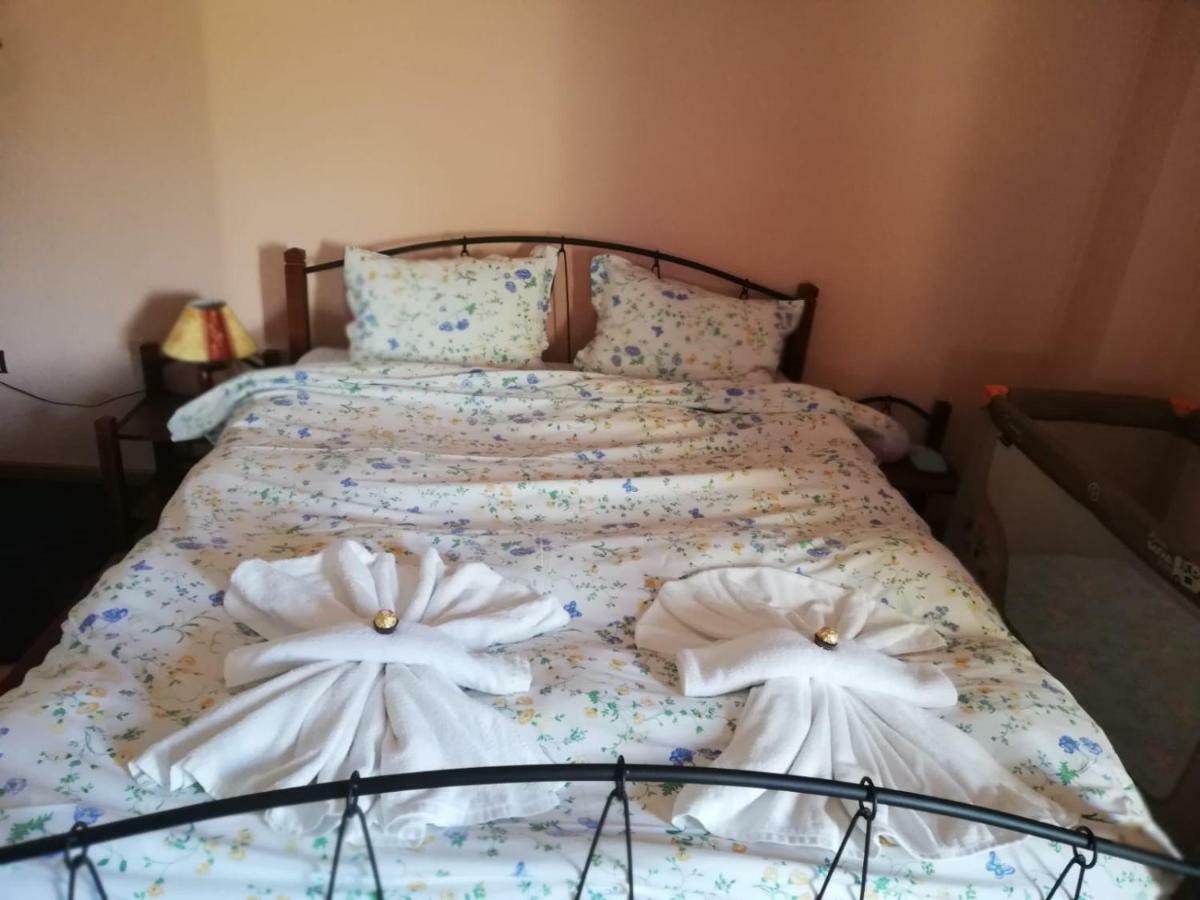 Ambrozia Spa And Relax Family House Bachkovo Ngoại thất bức ảnh