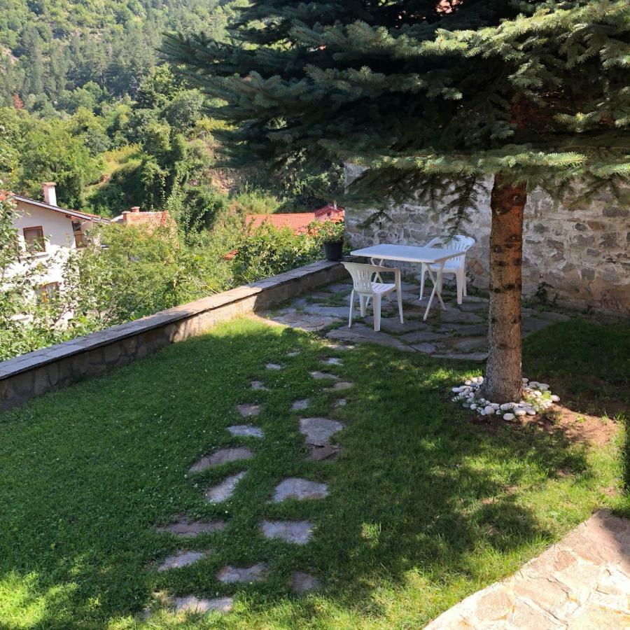 Ambrozia Spa And Relax Family House Bachkovo Ngoại thất bức ảnh