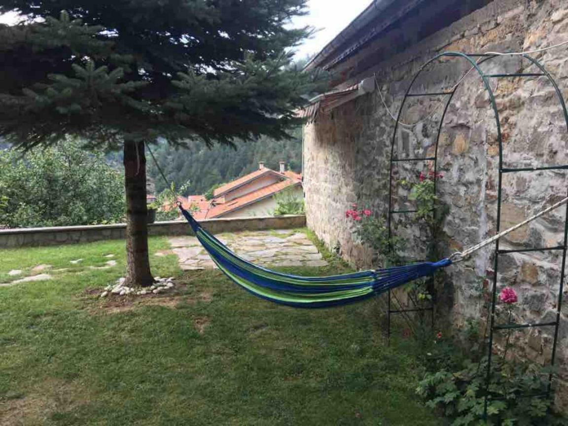 Ambrozia Spa And Relax Family House Bachkovo Ngoại thất bức ảnh